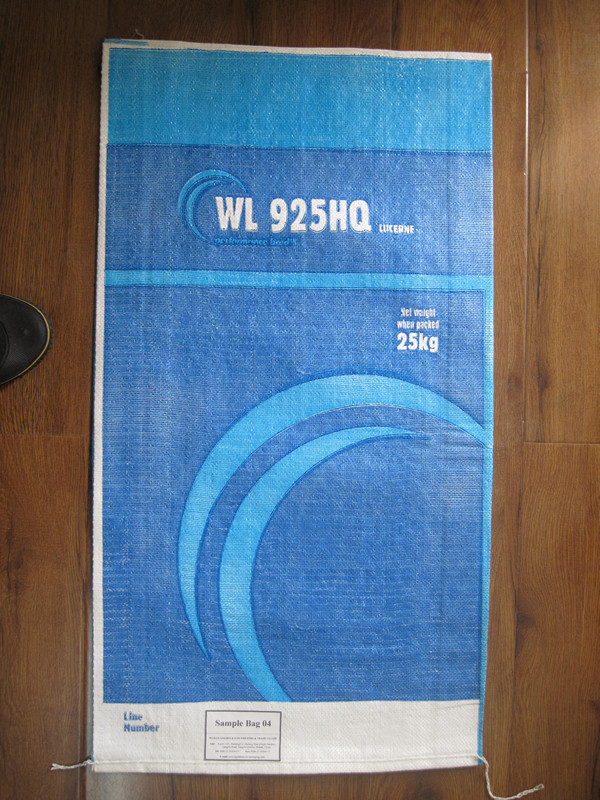 Wpp Woven PP Bag Printed Polypropylene Bag Packaging Bag