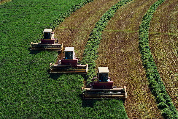 Application in Agriculture Industry