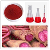 100% Natural Food Color Pigment Red Radish Extract