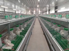 24-cage breeding cages for mother and baby rabbits /Commercial breeding cages for mother and baby rabbits