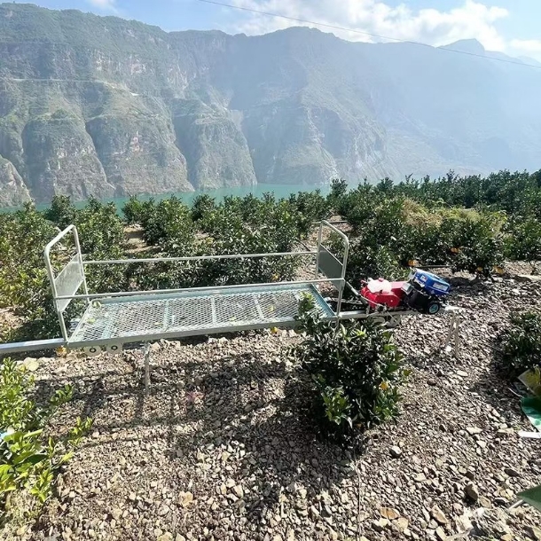 Monorail Transporter for Agriculturer(Gasoline Engine and Electronic Engine)