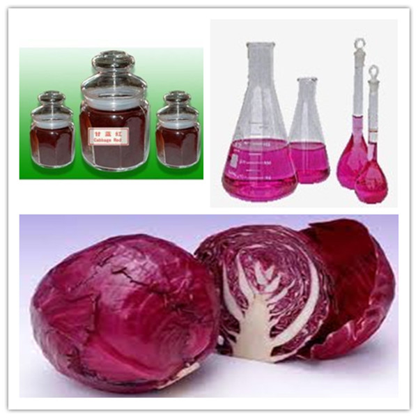 100 Natural Food Color Pigment Red Cabbage Extract from China